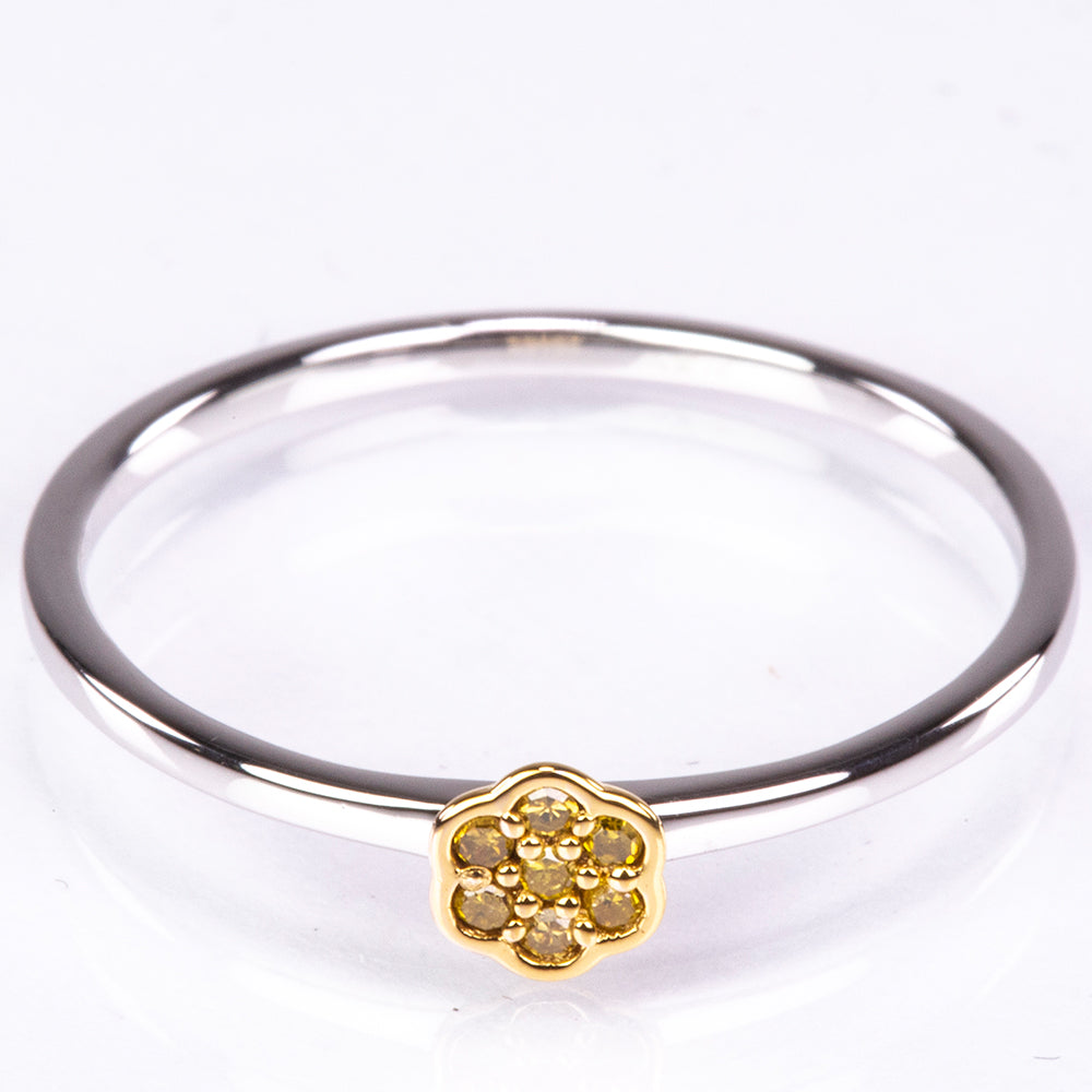 Silberring mit Veroneser grüner Diamant