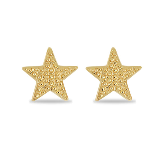 Goldplattierte Silberohrringe