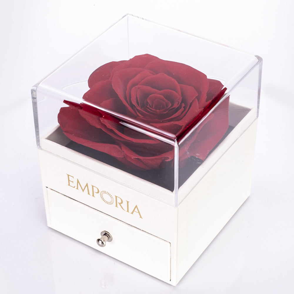 Ewige Rose Schmuckkästchen mit "Ich liebe dich" Halskette