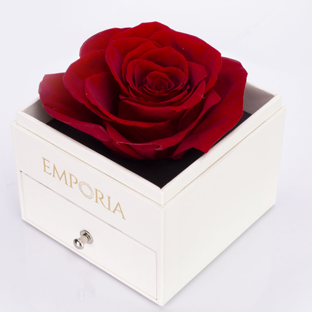 Ewige Rose Schmuckkästchen mit "Ich liebe dich" Halskette