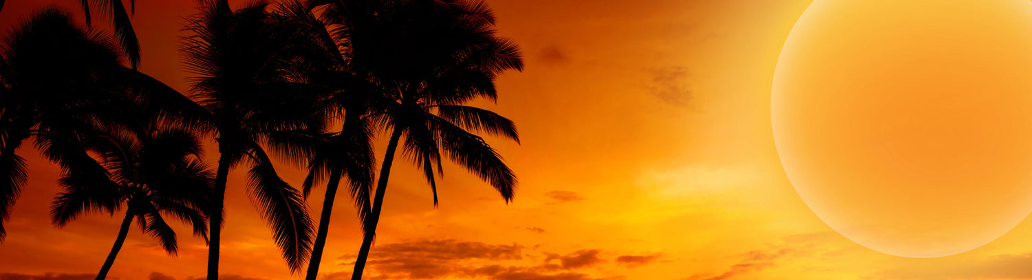EXTRA -30% 🔥 Kollektion Sonnenuntergang 🌞