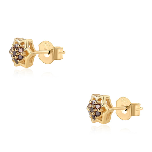 Goldplattierte Silberohrringe mit rotem Diamant