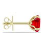 Goldplattierte Silberohrringe mit rotem Achat