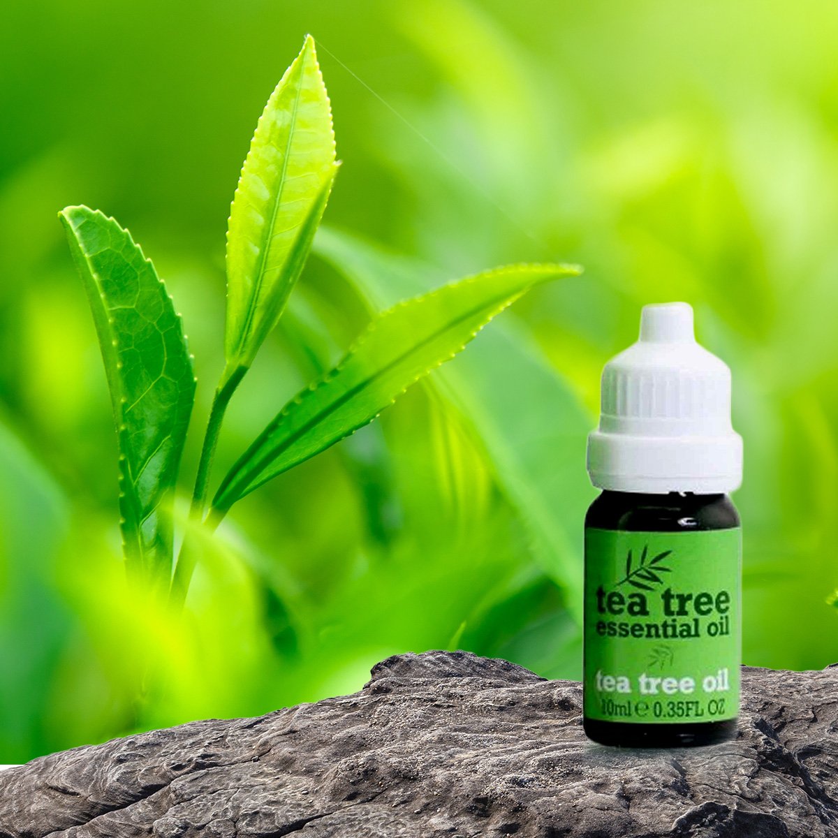 Teebaumöl-Extrakt - 30 ml 3 