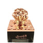 100 ml Eau de Parfum Rose Kashmiri Orientalischer floraler Duft für Männer und Frauen